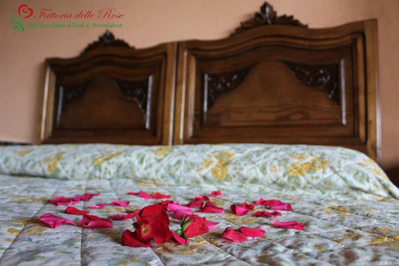 Alloggio per agriturismo Fattoria Delle Rose *