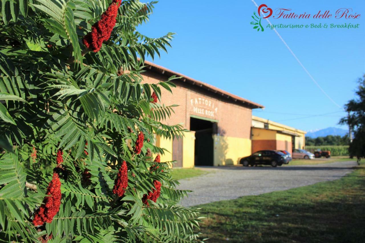 Fattoria Delle Rose *